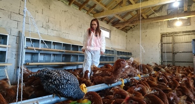Eynesil’de hibe desteğiyle tavuk çiftliği kurdu