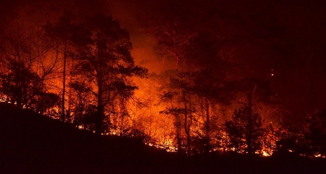 Trabzon Valisi Yücel Yavuz: “Yangında 15-20 hektar kadar bir alanın etkilendiğini düşünüyoruz”
