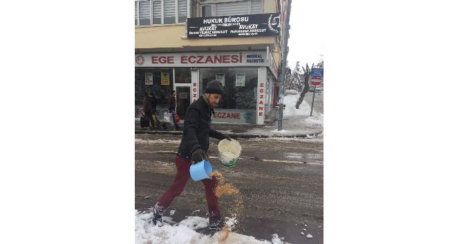 Aksaray Belediyesi kuşlar için yem bıraktı