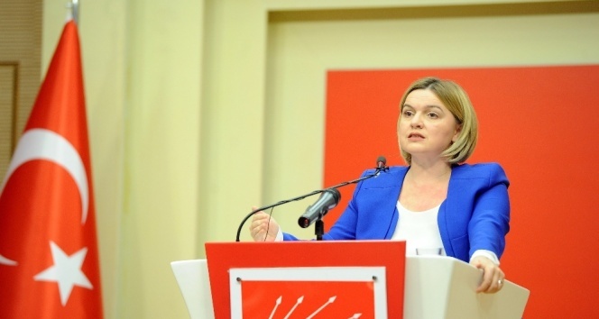 CHP’li Selin Sayek Böke’den anayasa teklifi açıklaması