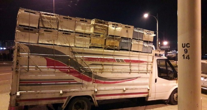 Arı kovanlarını çalan hırsız Diyarbakır’da yakalandı