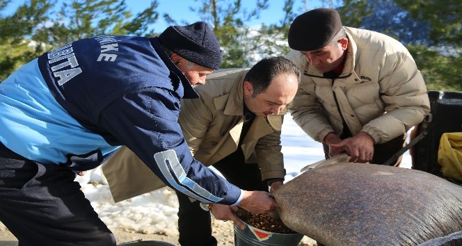 Finike Belediye Başkanı  kış şartlarında yiyecek bulmakta zorlanan vahşi hayvanların geçiş güzergahlarına yem bıraktı.