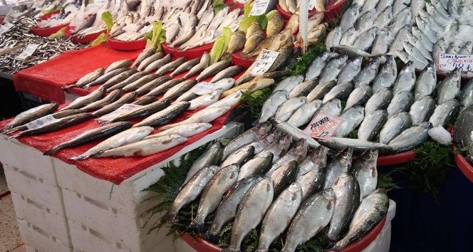 Kar ve soğuk hava balık fiyatlarını arttırdı