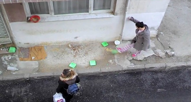 İzmir’de komşular arasında kedi besleme kavgası
