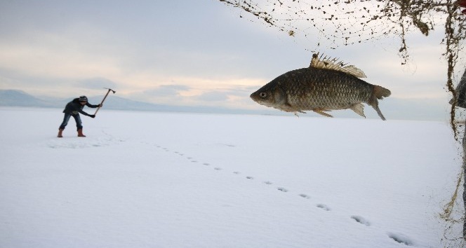 Buz tutan Beyşehir Gölü’nde “Eskimo” usulü balık avı