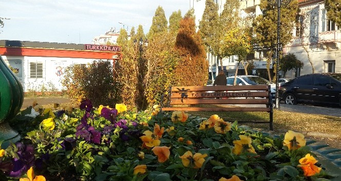 Gazeteci Barış Selçuk Parkı çiçeklerle renklendi.