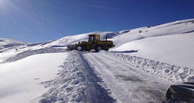 Muş’ta karla mücadele 2 milyon TL harcandı
