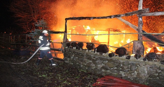 At çiftliği alev alev yandı, işyeri sahibi gözyaşlarına boğuldu