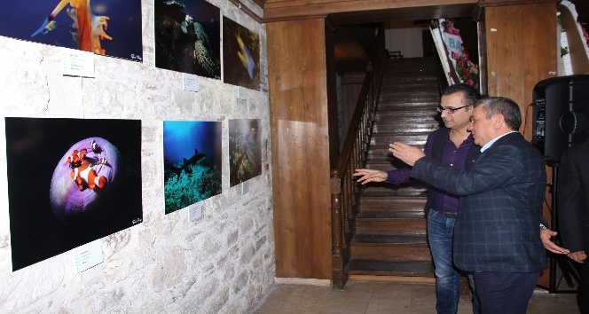 Kuşadası’nda su altı fotoğrafları sergisi açıldı