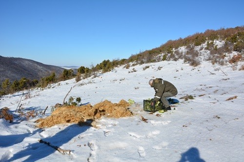 Soğuğa karşı doğaya 1,65 ton yem bırakıldı