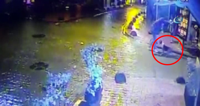 Cihangir’de elektrik kaçağı köpeği öldürdü, sahibini yaraladı