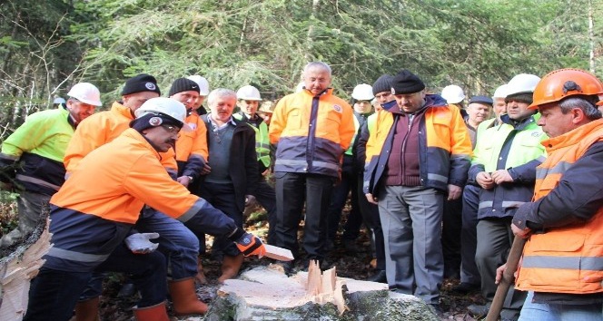 Zonguldak’da uygulamalı ağaç kesme eğitimi verildi