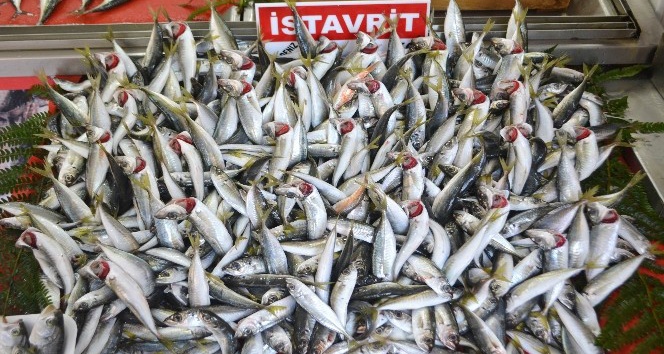 Balık fiyatlarının yükselmesi satışları etkiledi