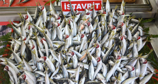 Balık fiyatlarının yükselmesi satışları etkiledi