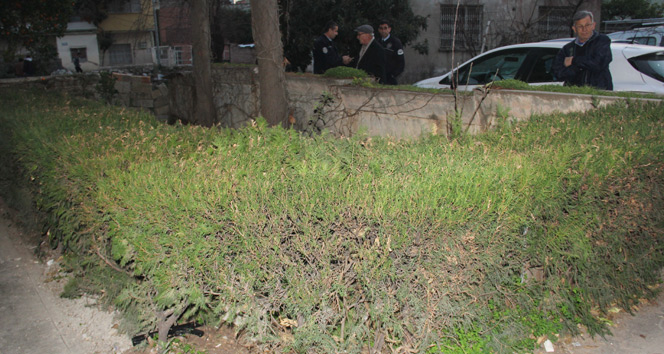 Adana&#039;da bahçeye atılmış suikast silahı bulundu