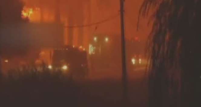 Şili’de Orman Yangını; Ölü Sayısı 11’e Yükseldi
