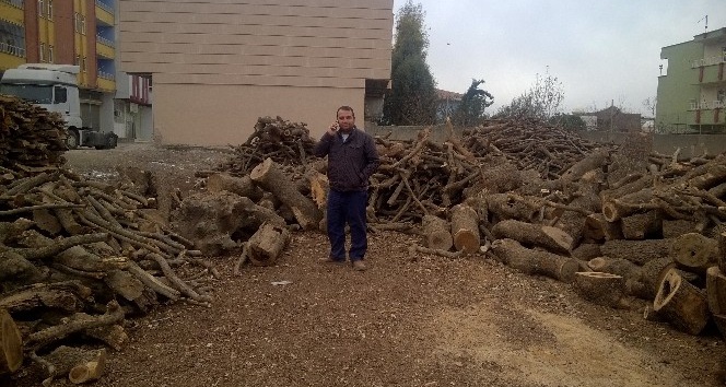 Silopi’de soğuk hava odun satışlarını arttırdı