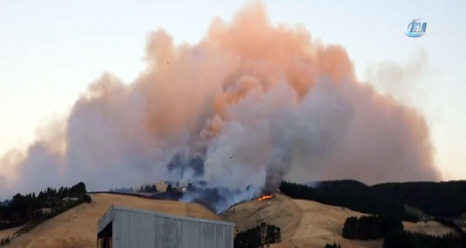 Yeni Zelanda&#039;da yangın! 1 pilot hayatını kaybetti
