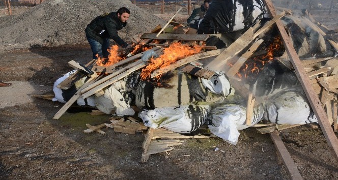 Aksaray’da 1 ton 180 kilo esrar yakılarak imha edildi