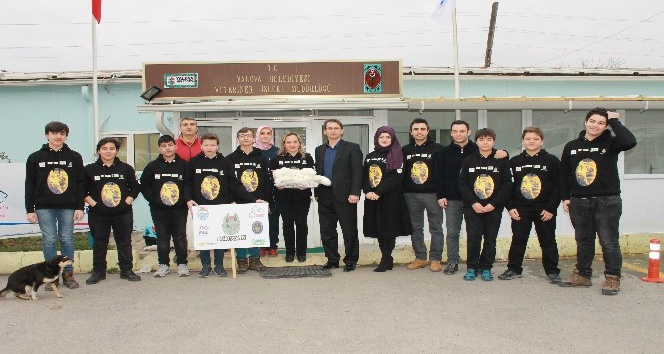 Yavru hayvanlara robot anne