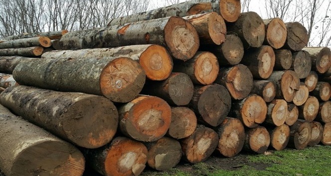 3 bin 235 metreküp orman emvali satıldı