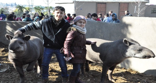 (Özel Haber) Temel isimli tapir 7. yaşını çocuklarla birlikte kutladı