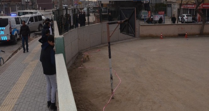 (Özel Haber ) Bursa’da 5 çocuk Pitbull korkusu yüzünden okulun balkonuna tırmandı