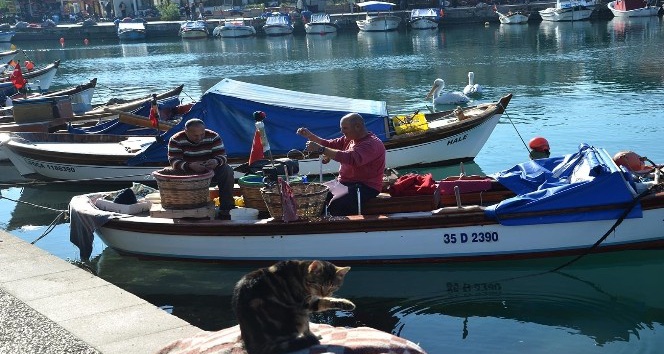 Foça Belediyesi Deniz Öyküleri Yarışması başlıyor