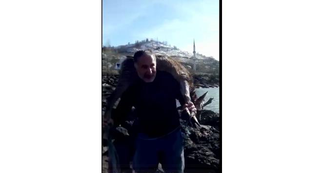 Denize düşen yaralı karacayı çıkartıp sırtında taşıdı