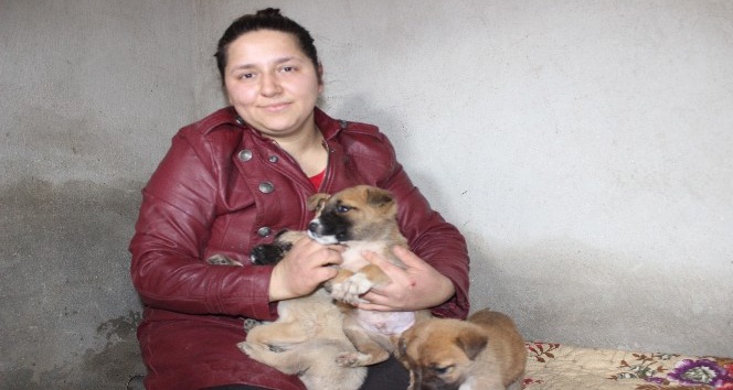 100 köpek ve 30 kediye bakan Gülşen Kurt, 30 köpeğin zehirlendiğini iddia etti