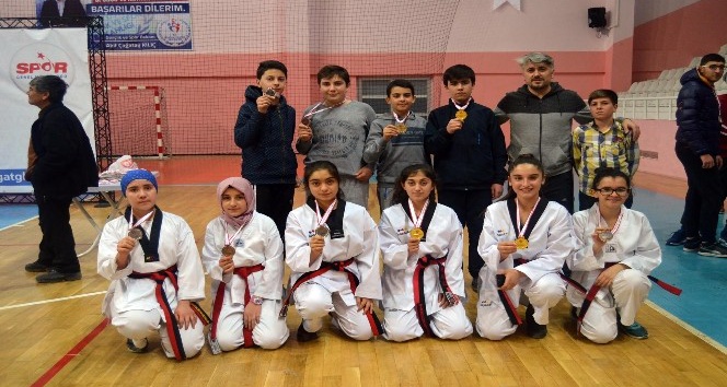 Tekvandoda Sorgunlu sporcular 29 madalya kazandı