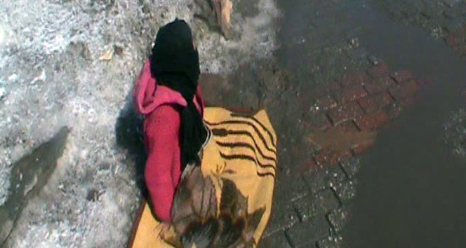 Eksi 15 derecede dilendirilen minikler yürekleri burktu | Muş haberleri