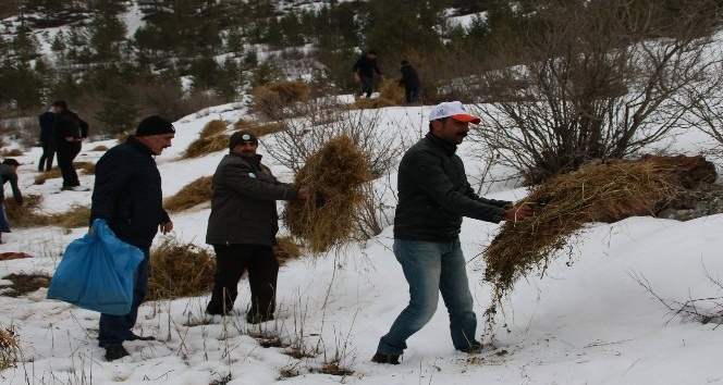 Gümüşhane’de Dünya Yaban Hayatı günü kutlandı