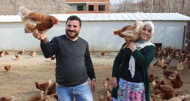 Atanamayan eşine destek olmak için tavuk çiftliği kurdu