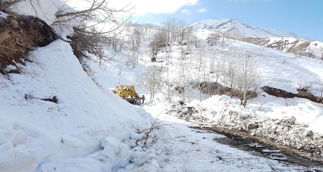 Bingöl’de Çığ düşmesine karşı karla mücadele