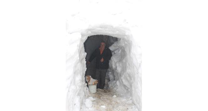 Muş’ta kardan tünel