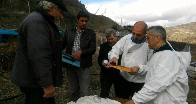 Tunceli’deki arı ölümleri inceleniyor