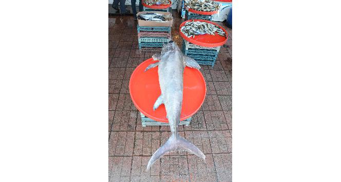 2 metre boyunda kılıç balığı yakalandı