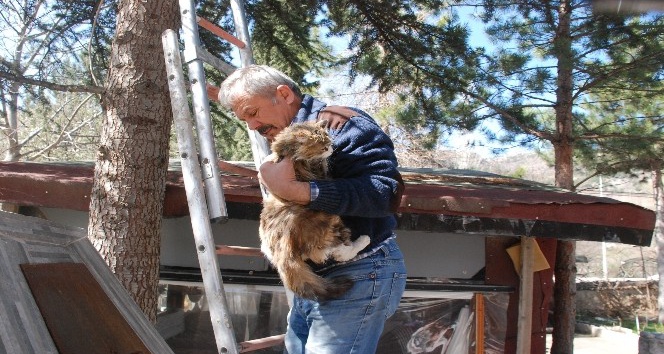 Tokat’ta vatandaşın kedi kurtarma operasyonu
