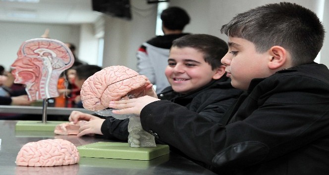 Gaziantep’te Dünya Beyin Farkındalığı haftası etkinliklerle kutlandı