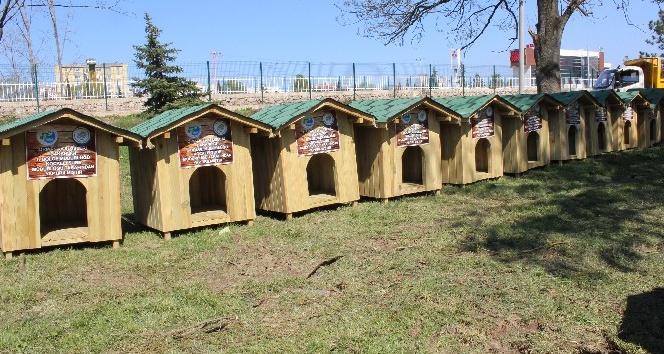 Tapulu köpek evleri teslim edildi