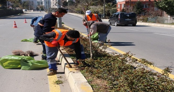 Akçakoca Belediyesi bahar çalışmalarına başladı