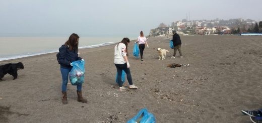 Öğrenciler Akçakoca sahillerini temizledi