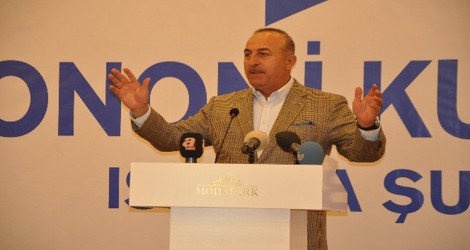 Bakan Çavuşoğlu: &quot;Avrupa’nın aptalca hareketleri bize oy getirdi&quot;