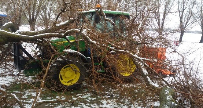 Yarım asırlık dut ağacı traktörün üzerine devrildi