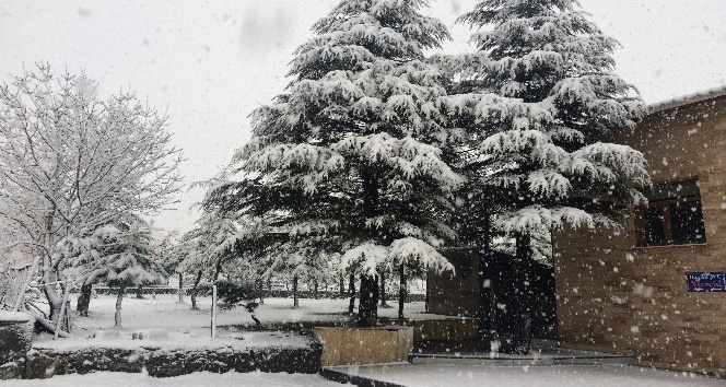 Bitlis’te Nisan ayında lapa lapa kar yağdı