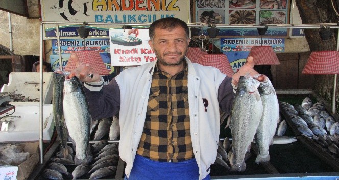 Kilis’te Balık satışlarında son haftaya girildi