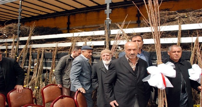 Bitlisli çiftçilere 65 bin adet meyve fidanı dağıtıldı