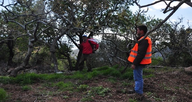 Başkan Şahin, Antep fıstığı üreticilerine sahip çıktı