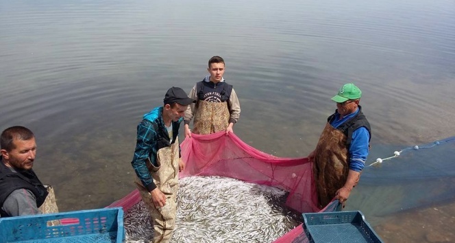 Bursa İznik Gölü&#039;nde gümüş balığı sezonu açıldı